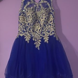 Royal Blue Dress.